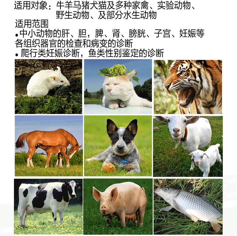 S9獸用彩超機適用對象
