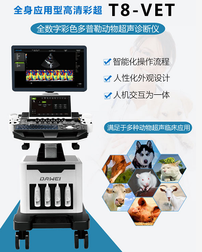 高清獸用b超機廠家